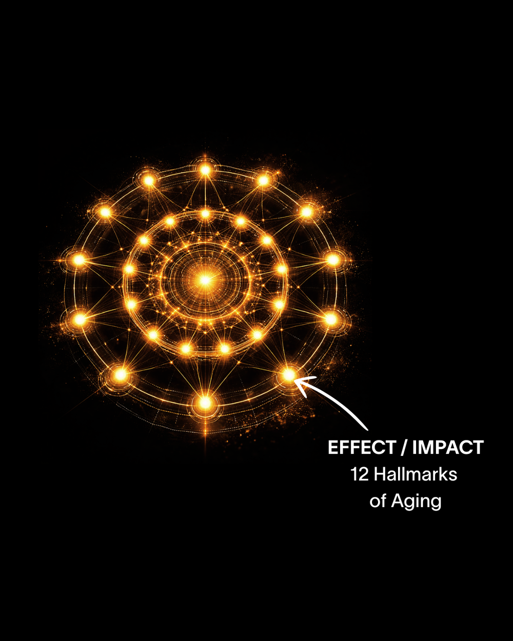 Hallmarks of Aging visualization
