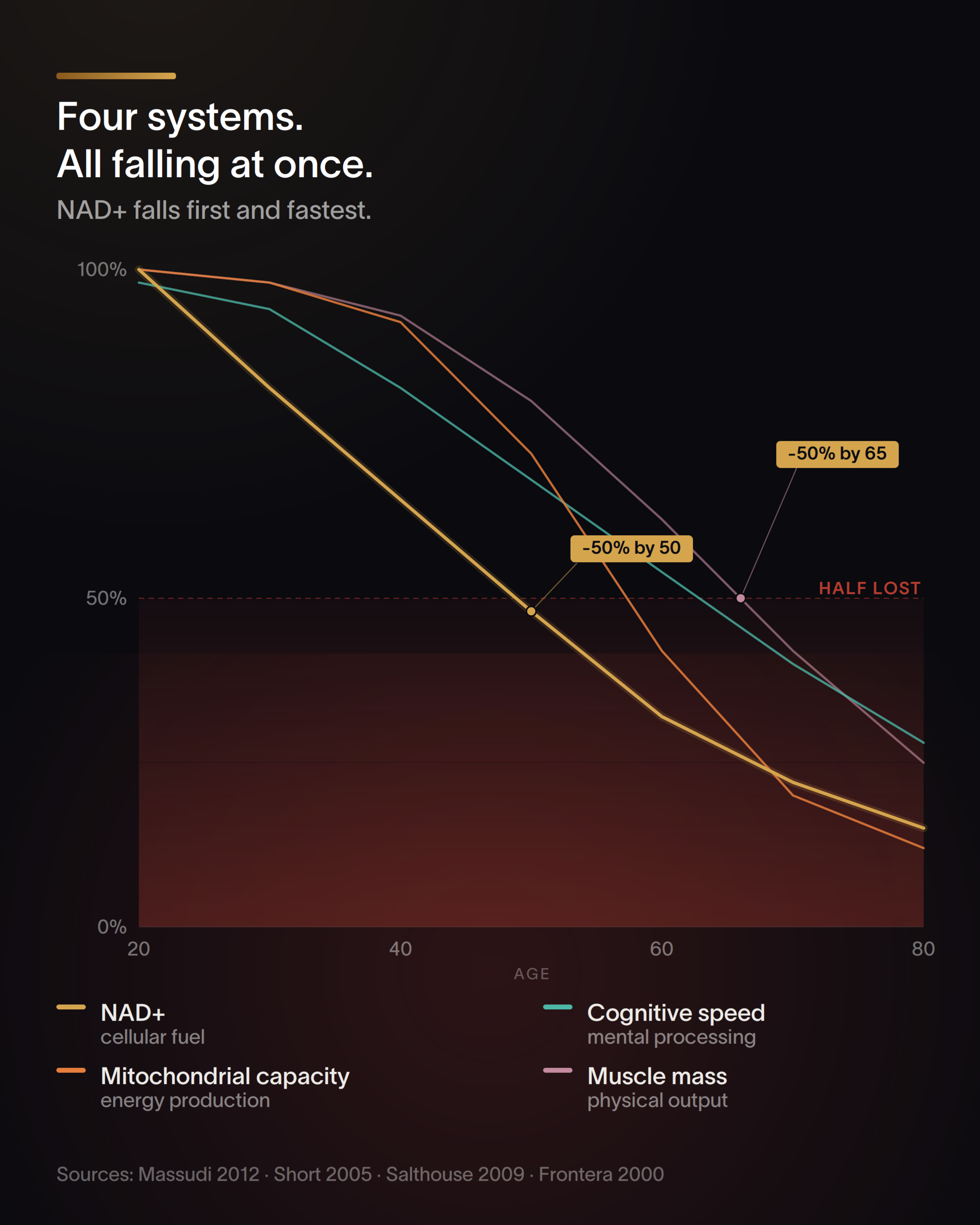 TimeWarp Longevity Protocol by TimeWarp Labs