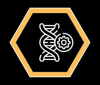 Epigenetic Alterations