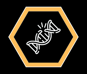 Genomic Instability