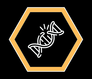 Genomic Instability