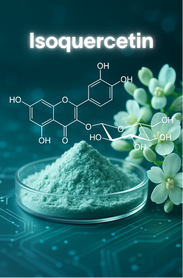 Isoquercetin