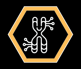 Telomere Attrition