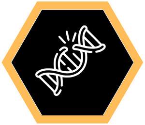 Genomic Instability