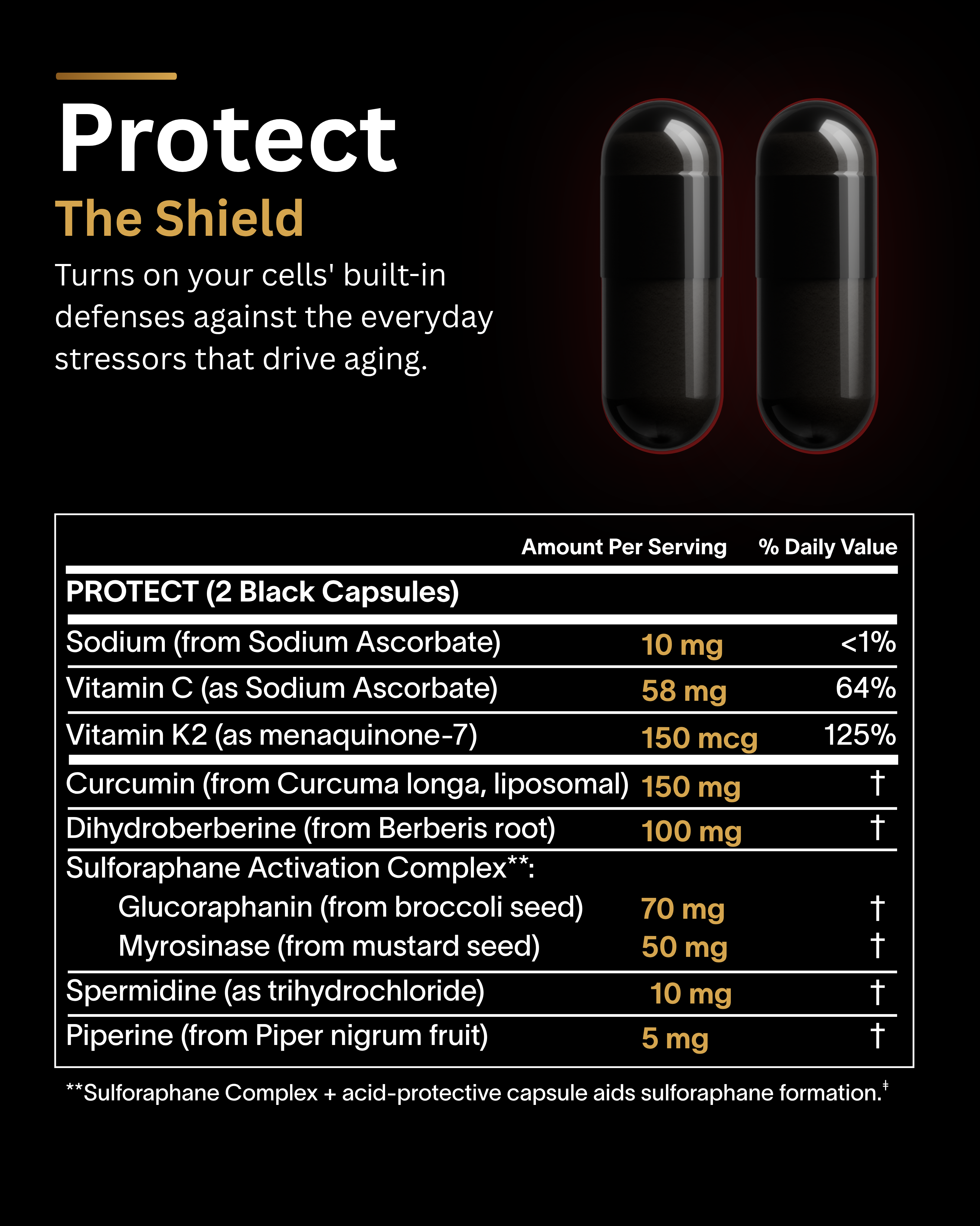 TimeWarp Longevity Protocol by TimeWarp Labs