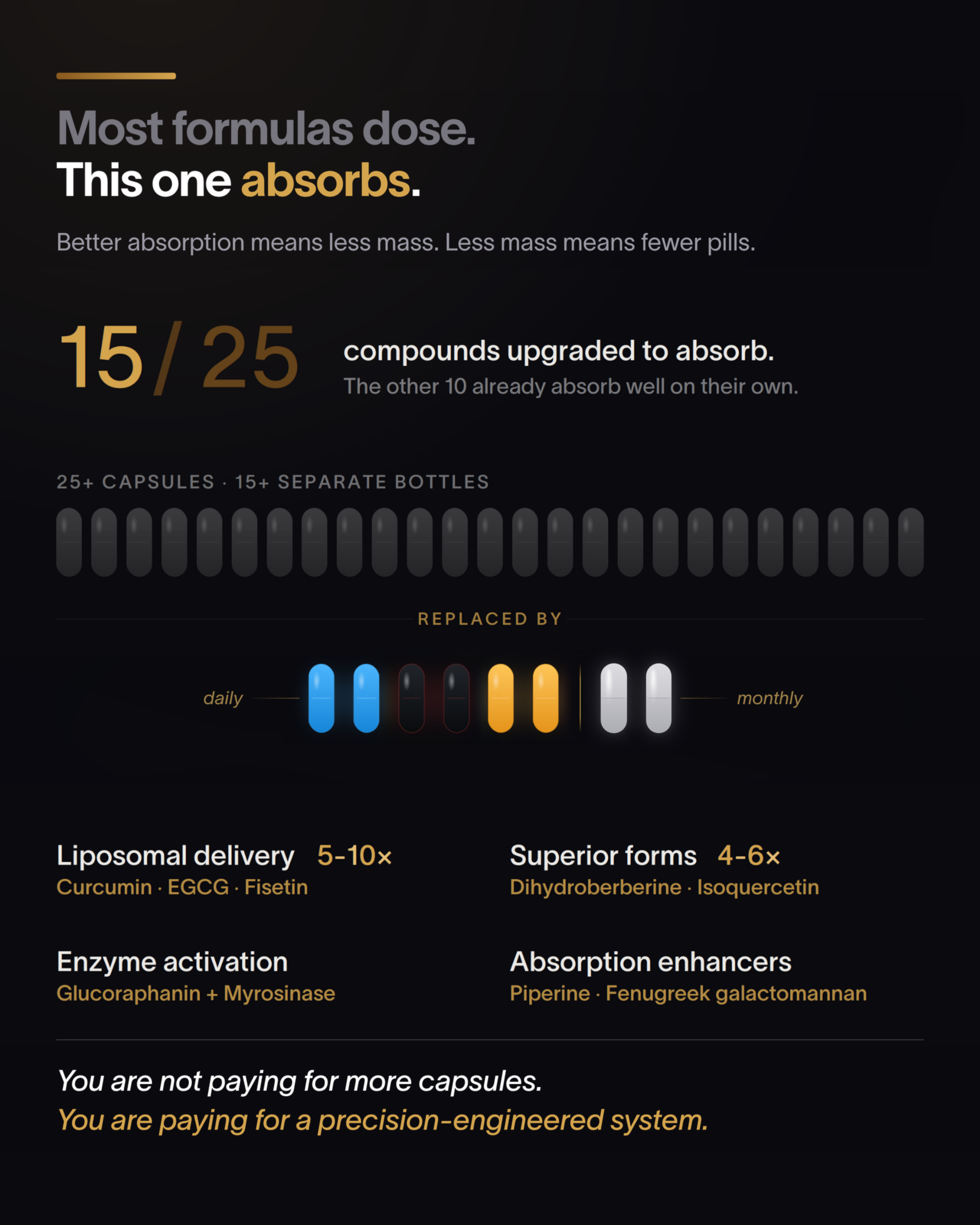 TimeWarp Longevity Protocol by TimeWarp Labs