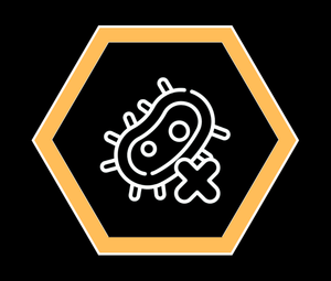 Disabled Macroautophagy