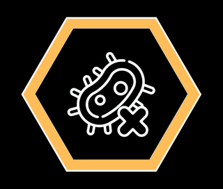 Disabled Macroautophagy