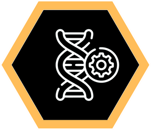 Epigenetic Alterations
