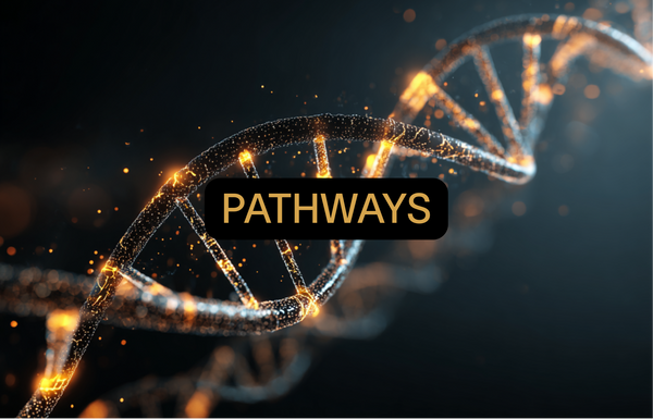 Aging Pathways