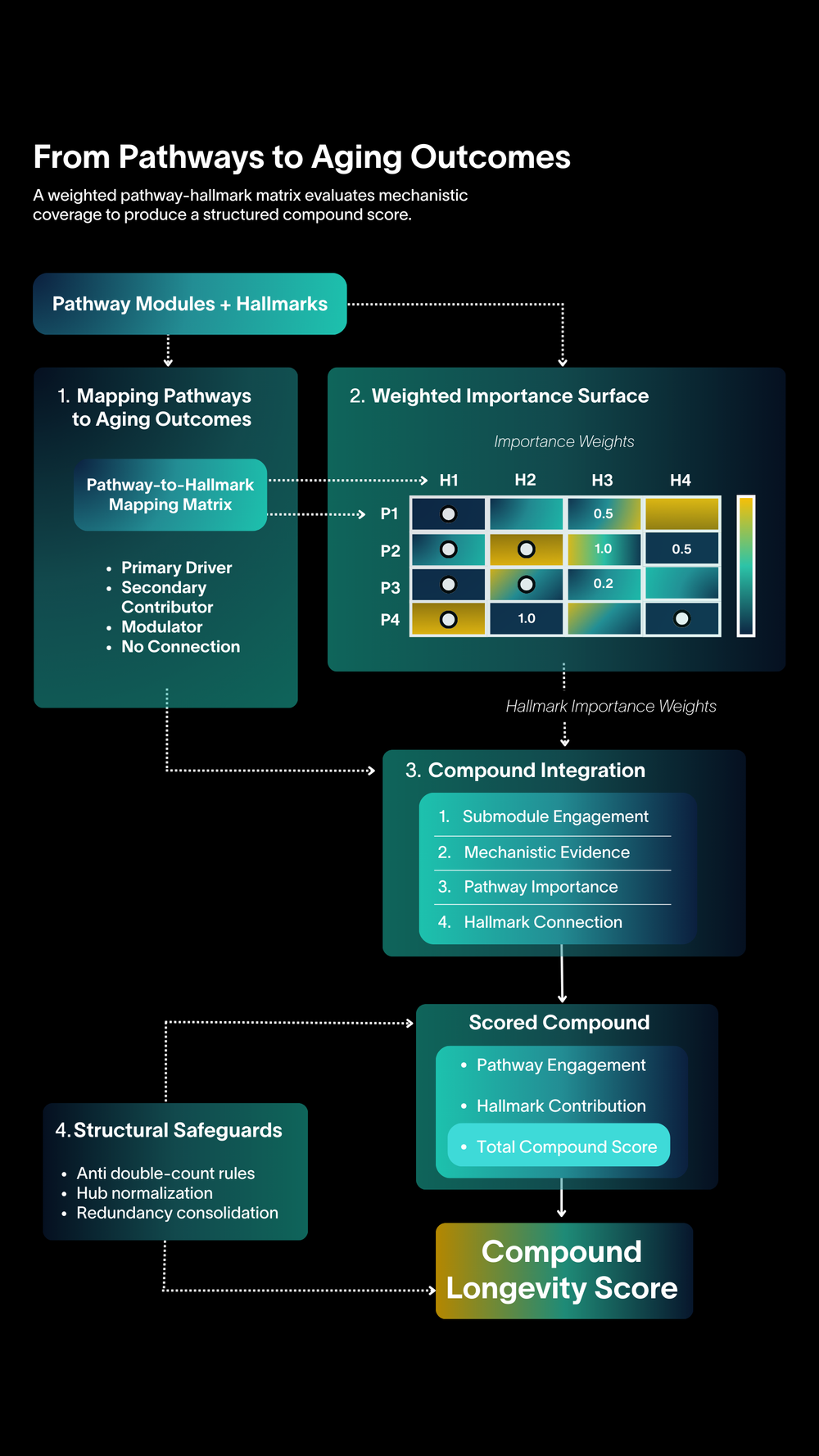 From Pathways to Aging Outcomes