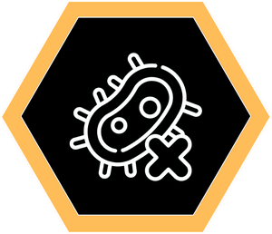 Disabled Macroautophagy